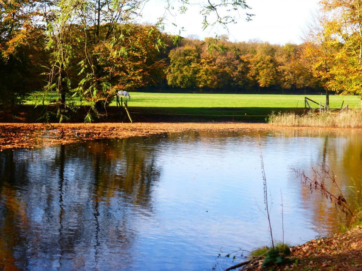 De Zanderij 's-Graveland Exteriér fotografie